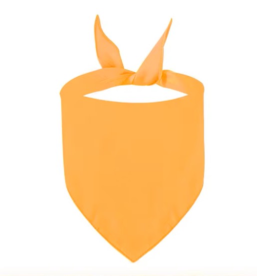 Customised Pet Bandana's